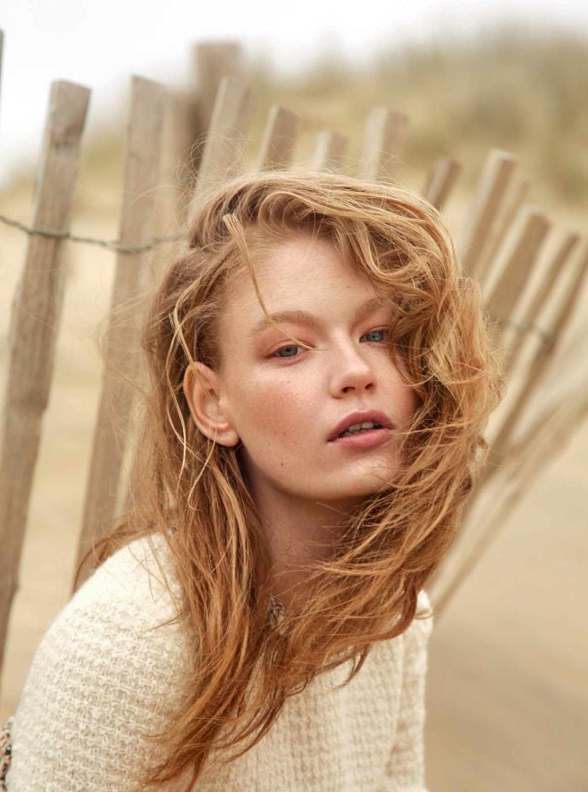 BESIDE THE SILVER SEA