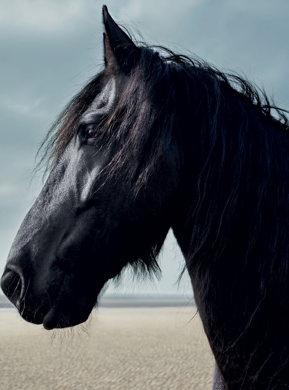 BESIDE THE SILVER SEA