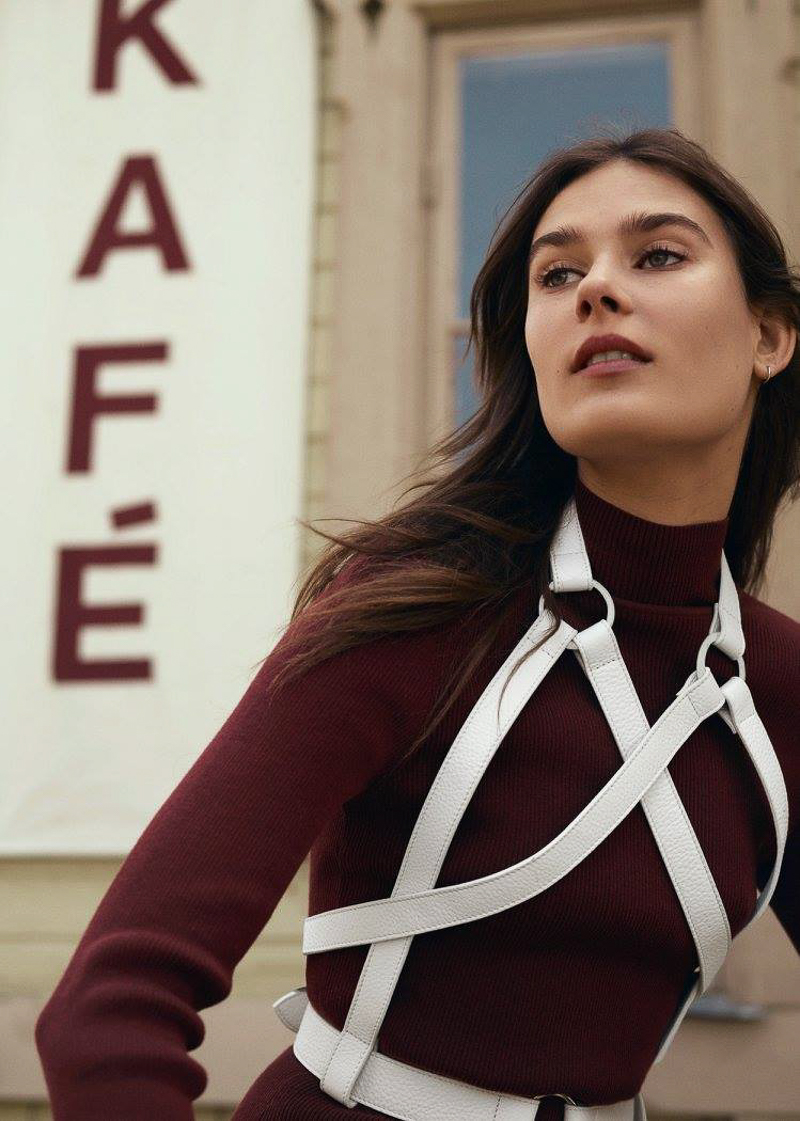 Zana Bayne & Other Stories