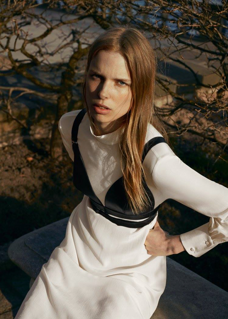 Zana Bayne & Other Stories